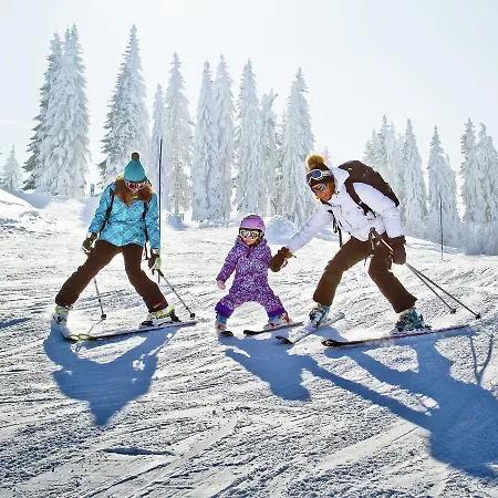 Chalet Chalet Jeanne 6p *